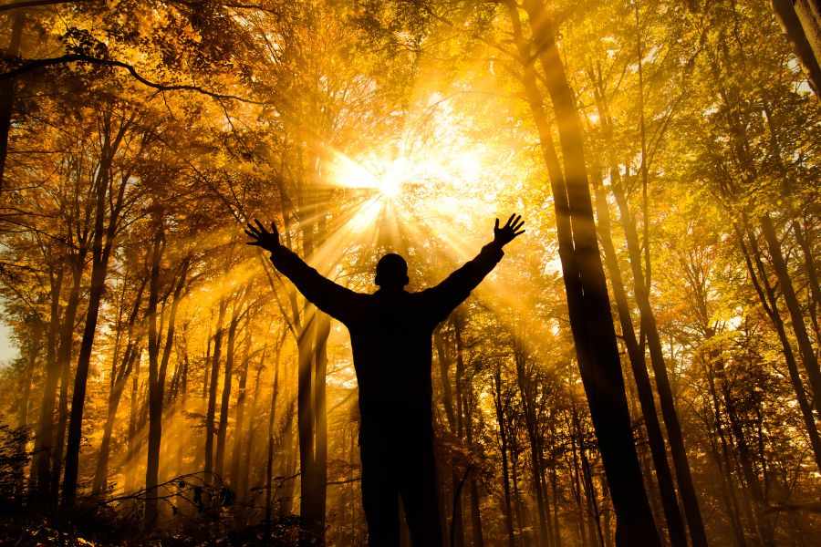 A silhouette of a person with arms raised in a sunlit forest.