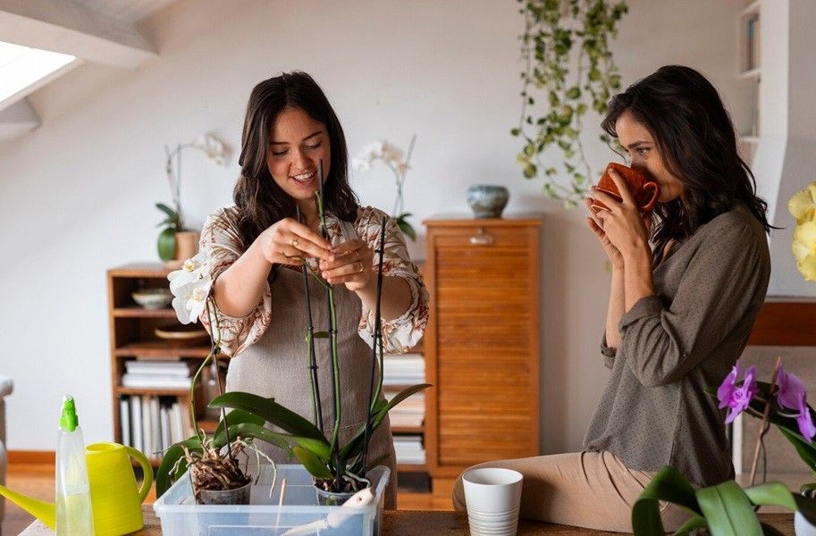 Ethical Non Monogamy two person decorating a plant Uncover Mental Health Counseling